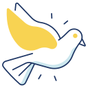dove-